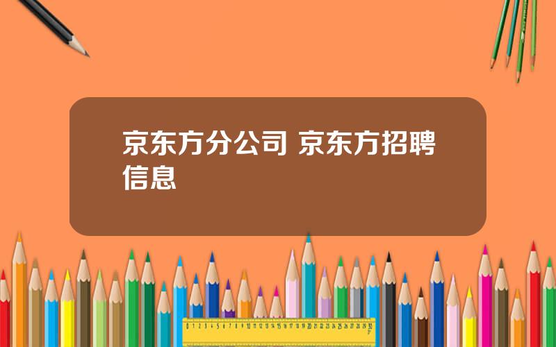 京东方分公司 京东方招聘信息